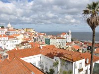 ALFAMA